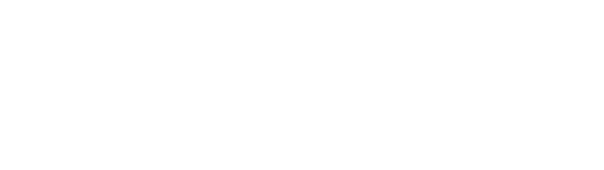 PIDI